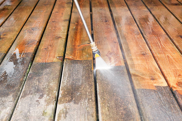 Best Fence Cleaning  in Thiells, NY